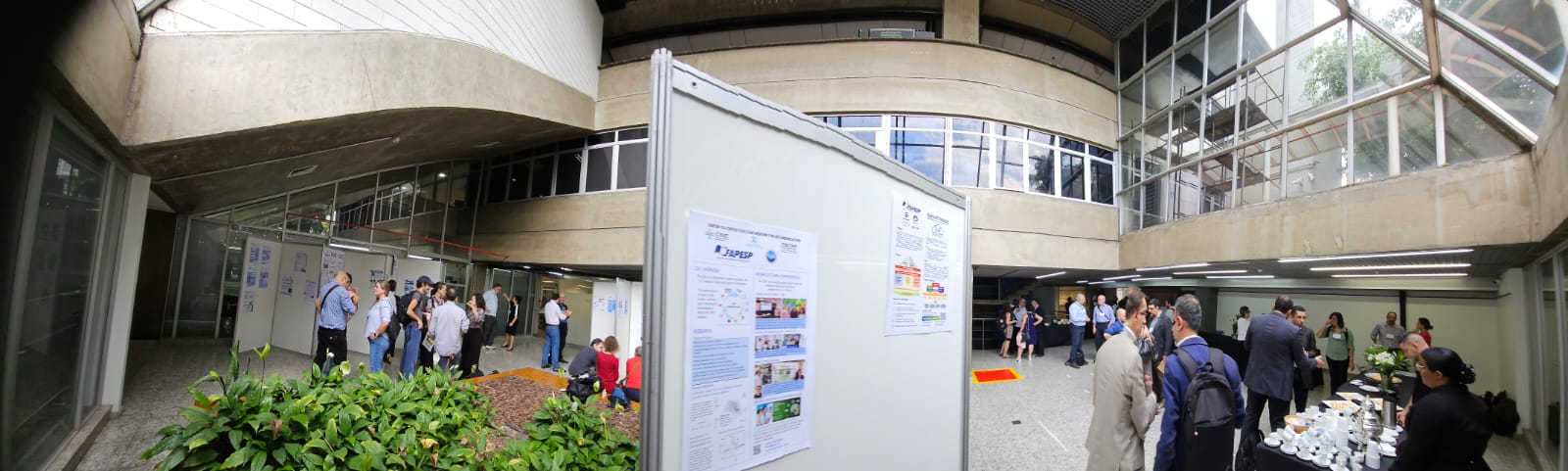 Participation in FAPESP-NSF Center-to-Center Workshop