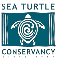 Sea Turtle Conservancy