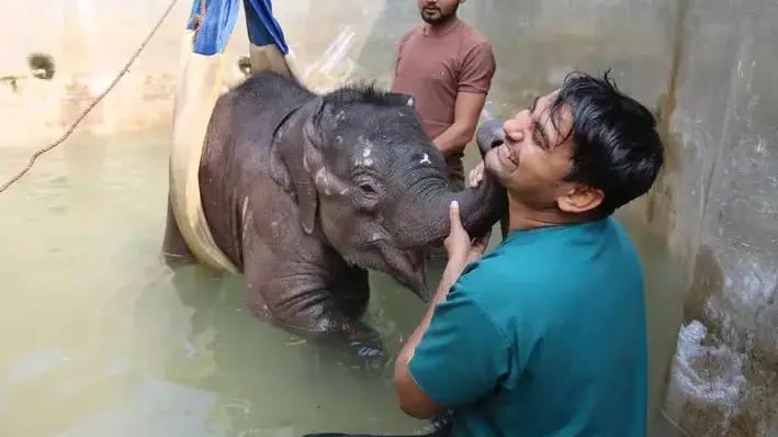 An image of a rescued animal