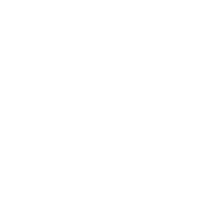 Ace Pelizon Plumbing