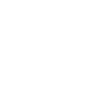 Ace Pelizon Plumbing