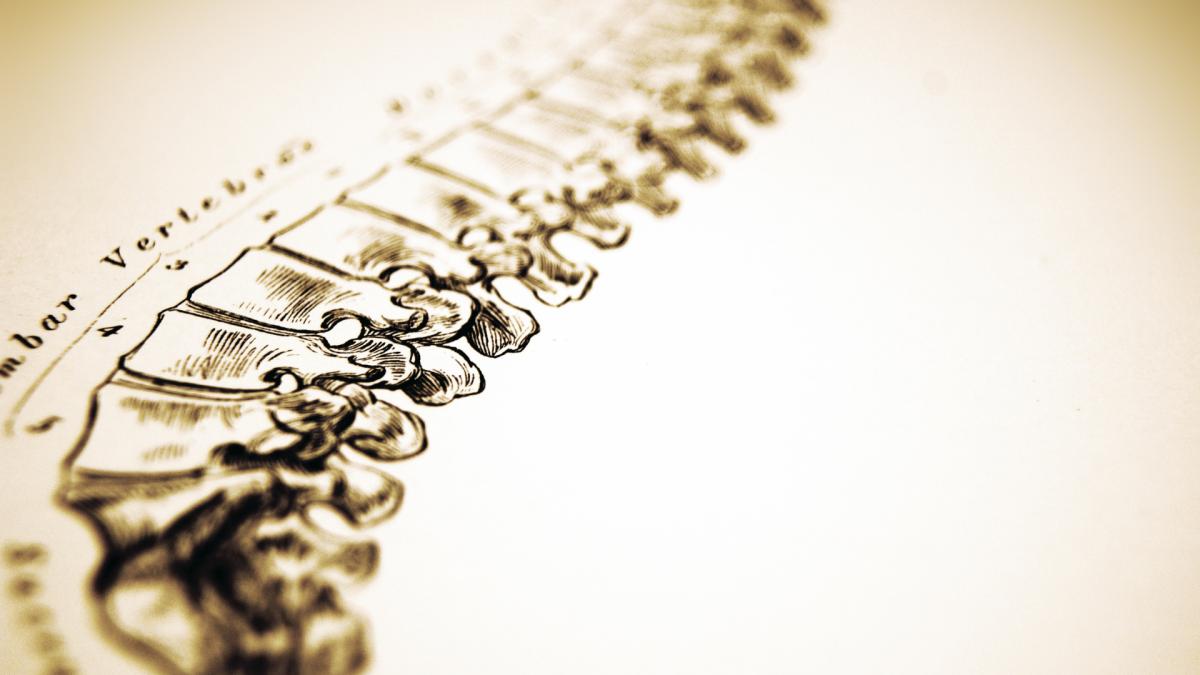 creating customized marketing strategies