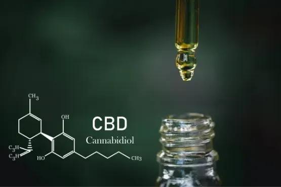 Can You Advertise CBD on Google Ads? Here’s What You Need to Know