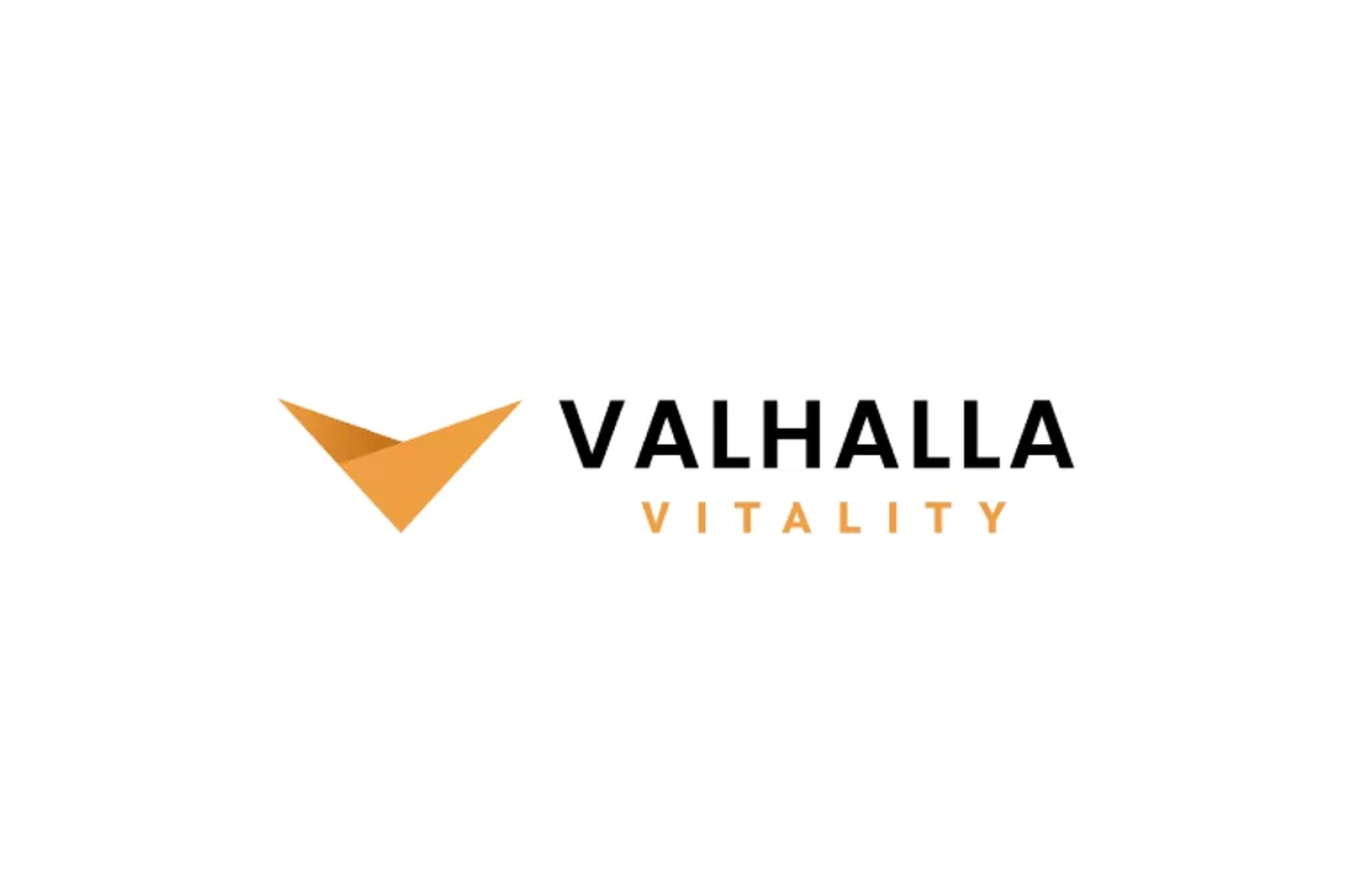 Valhalla Vitality — screenshot of the shipped frontend