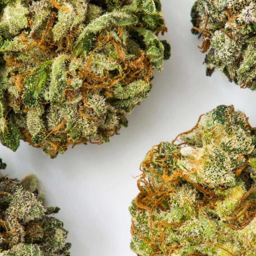 medical cannabis promoting