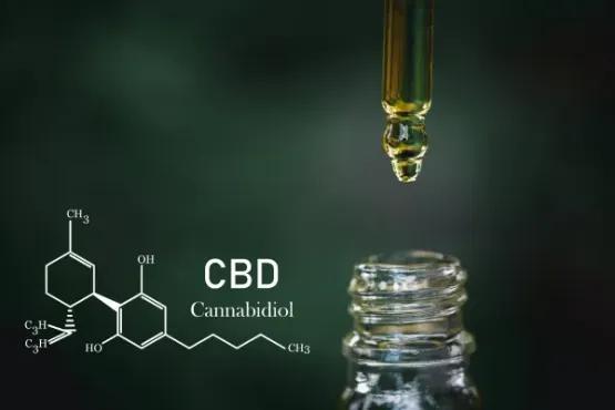 How to Launch a Successful CBD Email Marketing Campaign?