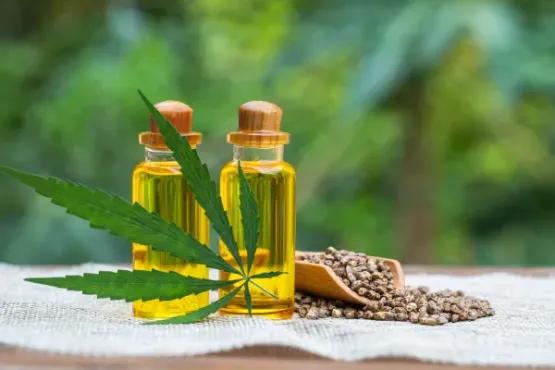 Effective CBD Digital Marketing Strategies for 2024