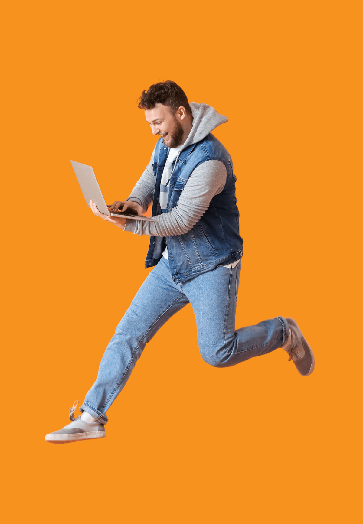 wordpress programmer