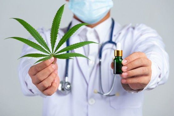 Medical Marijuana Search Engine Marketing Strategy for increasing visibility
