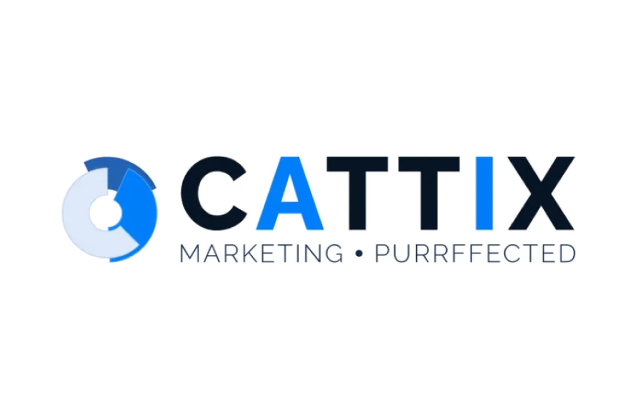 CATTIX V2.0 — screenshot of the shipped frontend