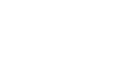 Valhalla Medics