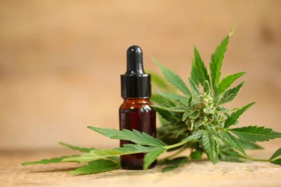 How to Choose the Best CBD Keywords for Your SEO Strategy