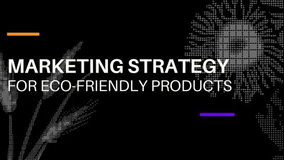 Developing an Effective Marketing Strategy for Eco-Friendly Products