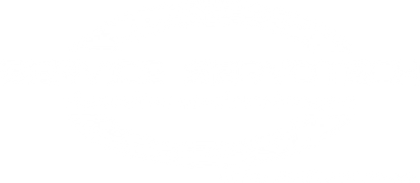 Service Servotech