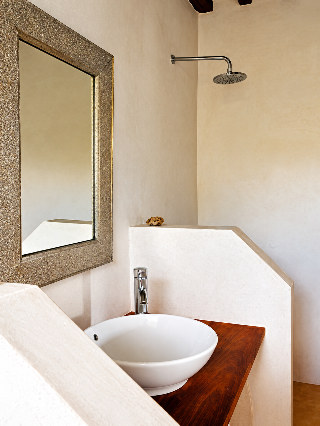 En-suite shower with a bowl basin
