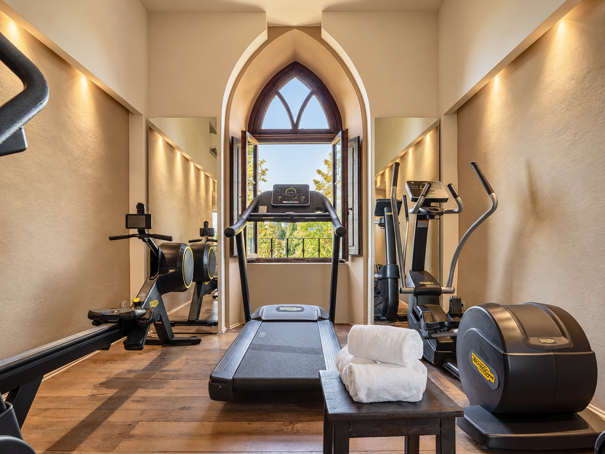Gym with a Gothic window onto the trees