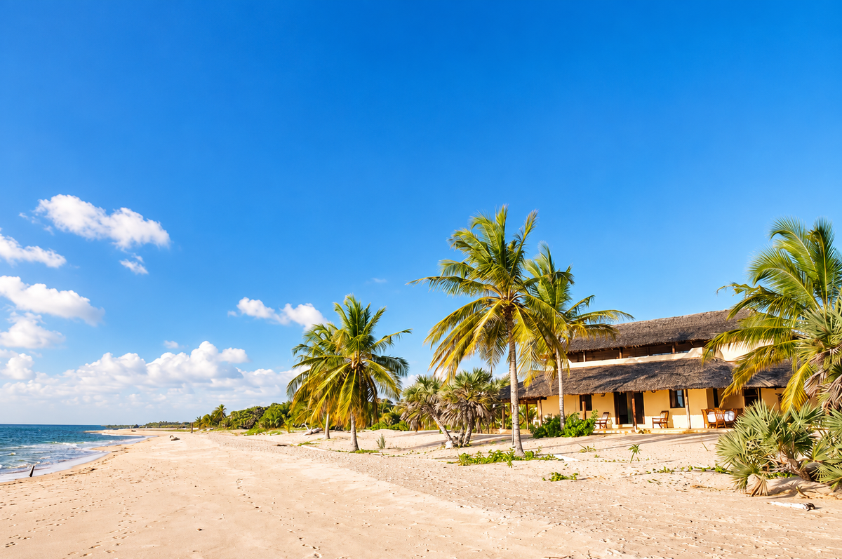 Beachfront house among palms on the dunes