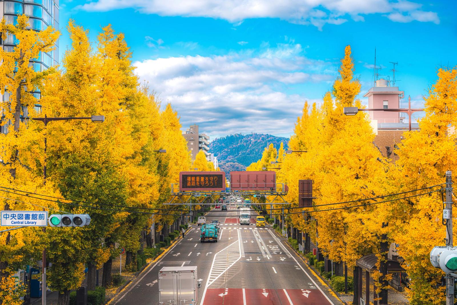 Allée de ginkgos dorés de Jingū Gaien en automne
