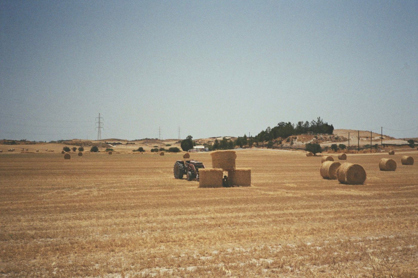 Fardo cuadrado de alfalfa, lote MF-218 (foto 4 de 4)