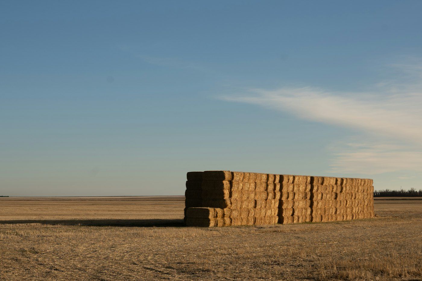 Fardo cuadrado de paja de trigo, lote MF-224 (foto 1 de 4)