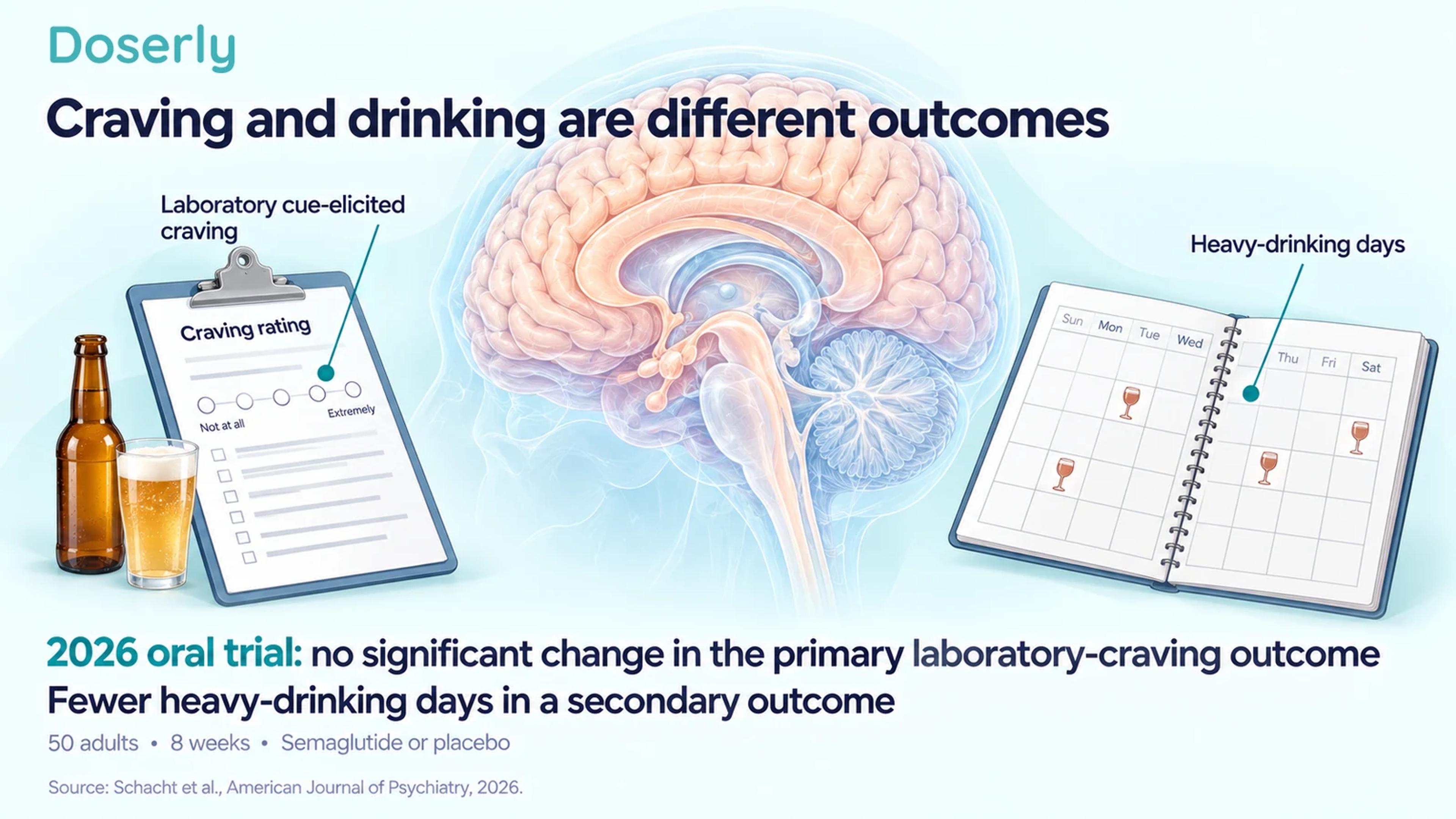 Detailed neutral brain anatomy between a craving-rating questionnaire and a drinking diary, with assessment leaders ending on those objects.