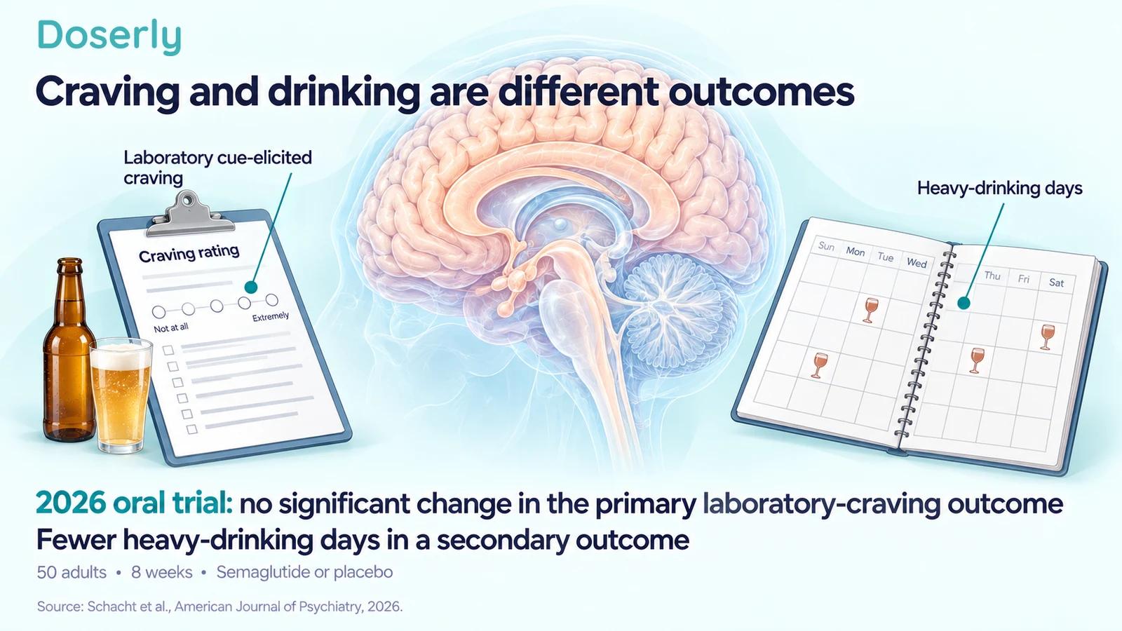 Detailed neutral brain anatomy between a craving-rating questionnaire and a drinking diary, with assessment leaders ending on those objects.