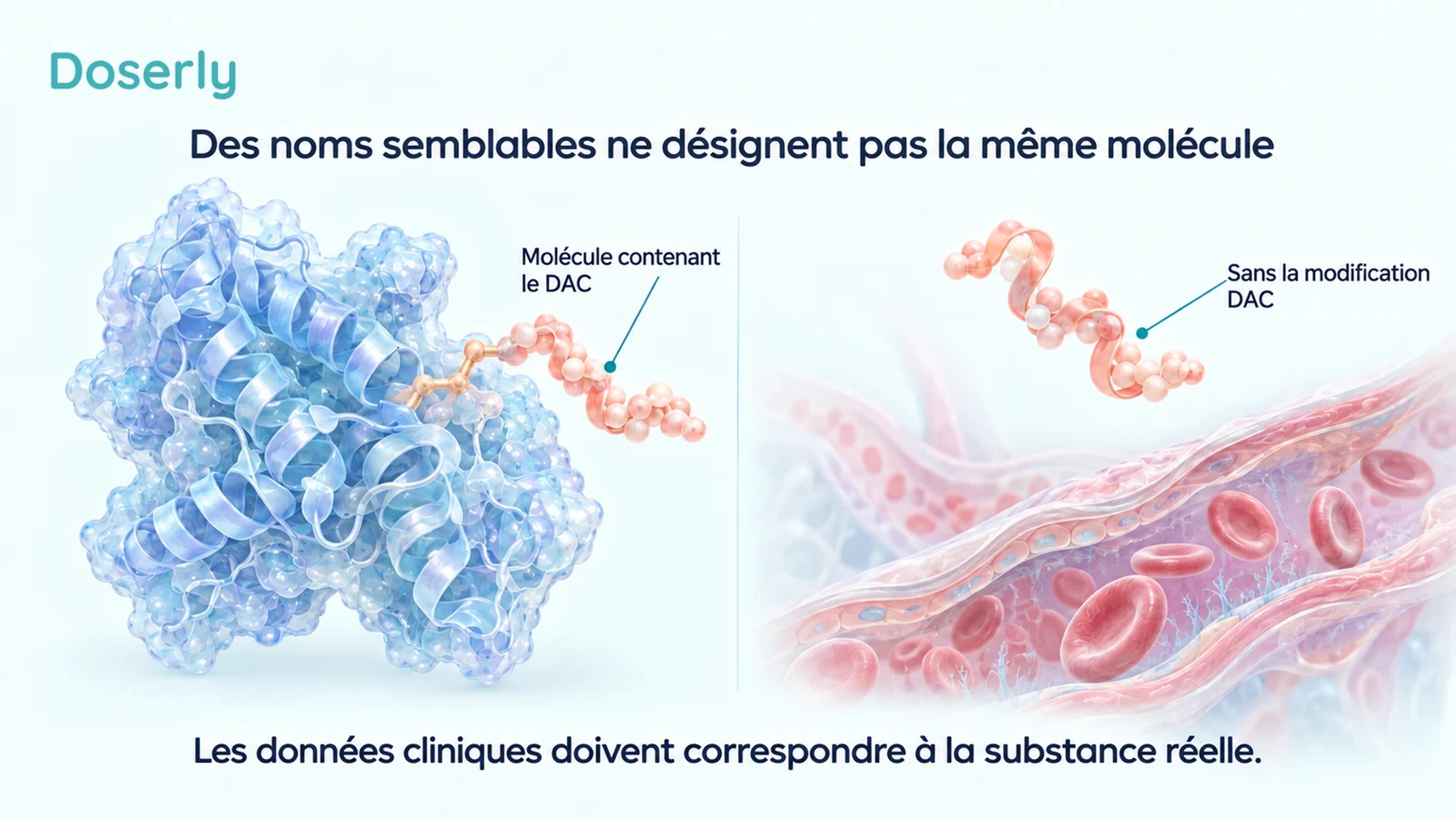 Comparaison conceptuelle d’un peptide contenant le DAC associé à l’albumine et d’un peptide dépourvu de la modification DAC.