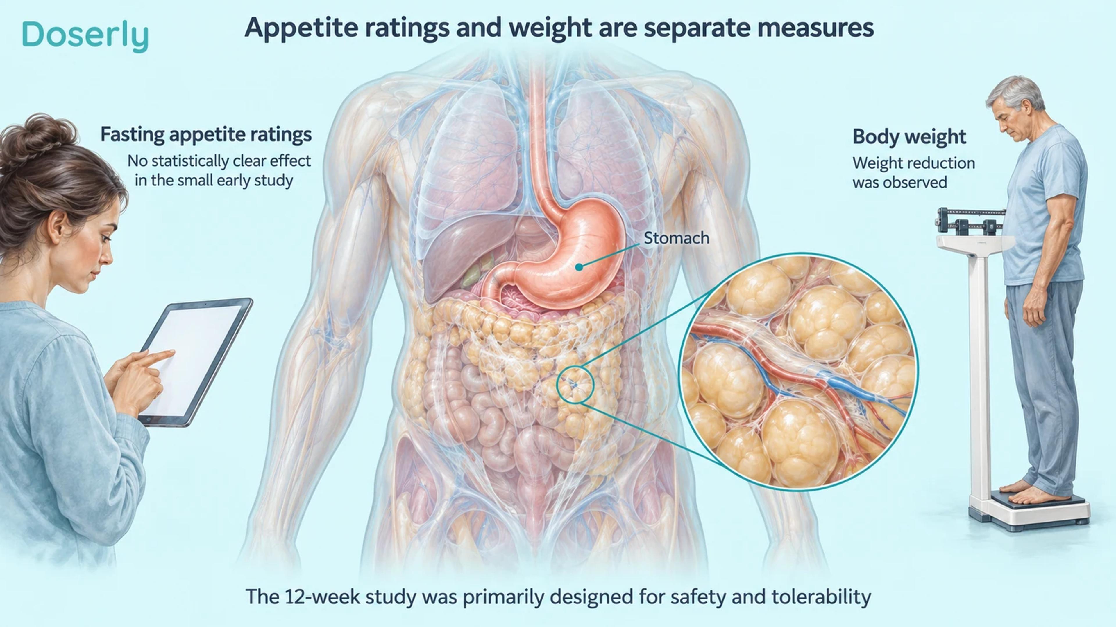 Anatomy, questionnaire and scale distinguish exploratory appetite ratings from weight change.