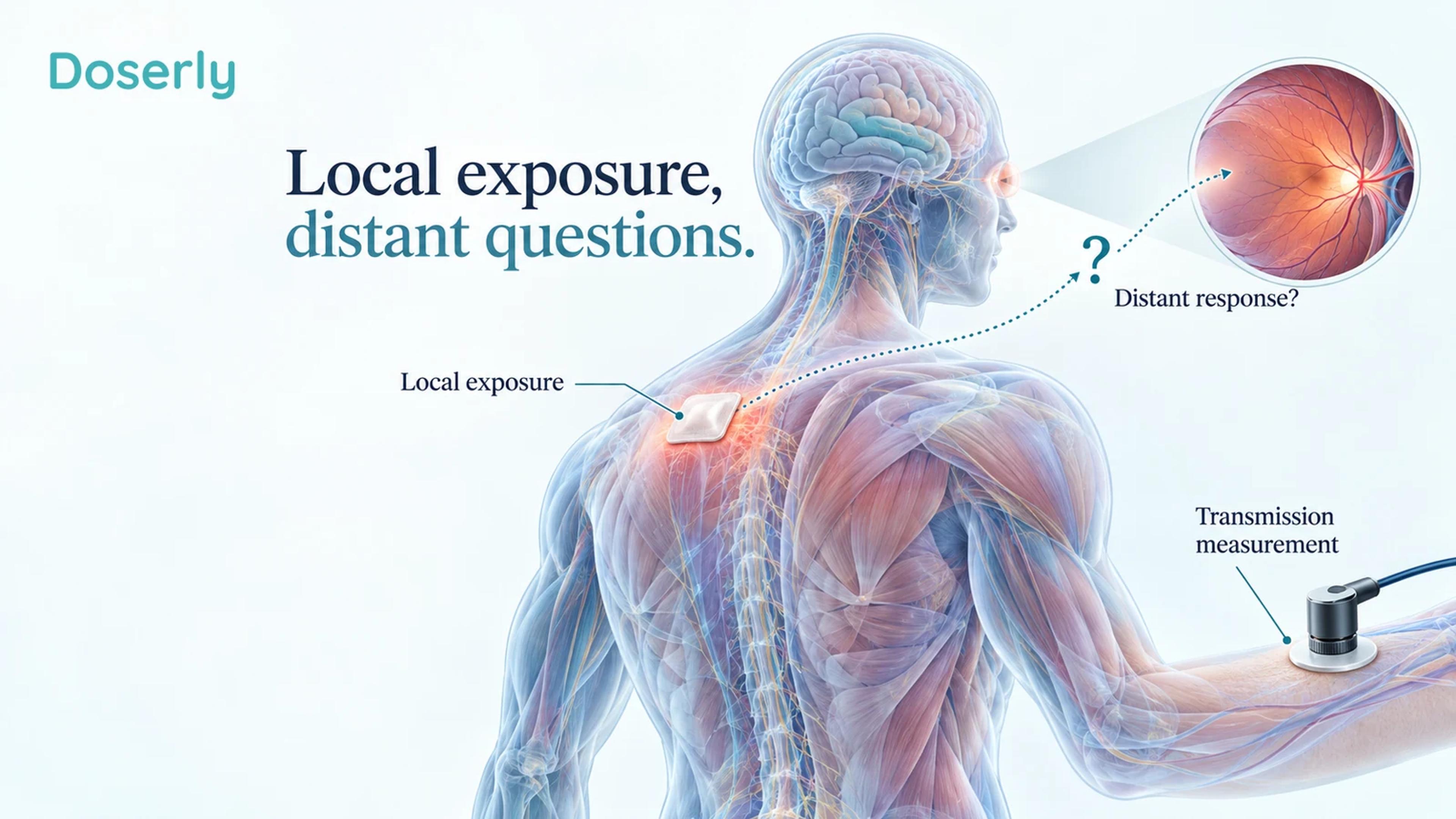 A translucent human torso with a small surface exposure and separate distant tissue inset illustrates the unresolved distinction between light transmission and systemic signaling.