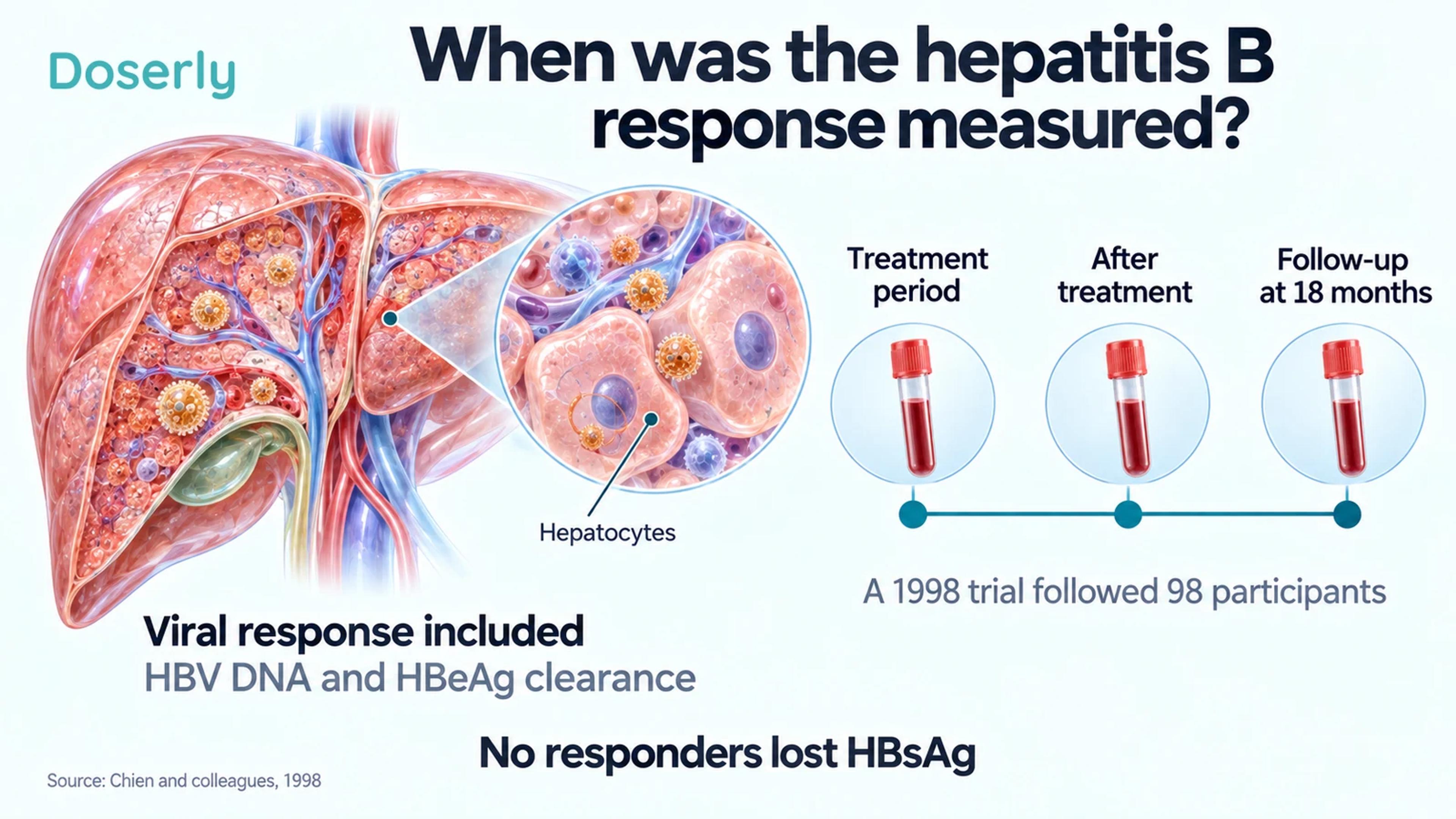 Liver anatomy beside blood-sampling time points explains treatment and follow-up assessment in the 1998 hepatitis B trial.