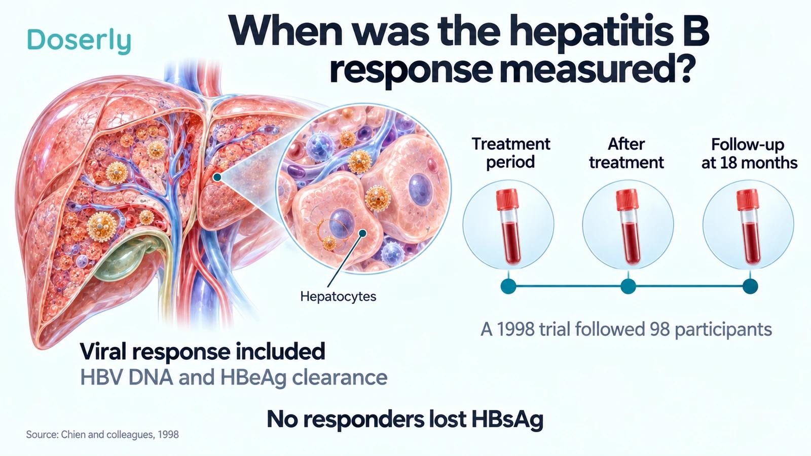 Liver anatomy beside blood-sampling time points explains treatment and follow-up assessment in the 1998 hepatitis B trial.