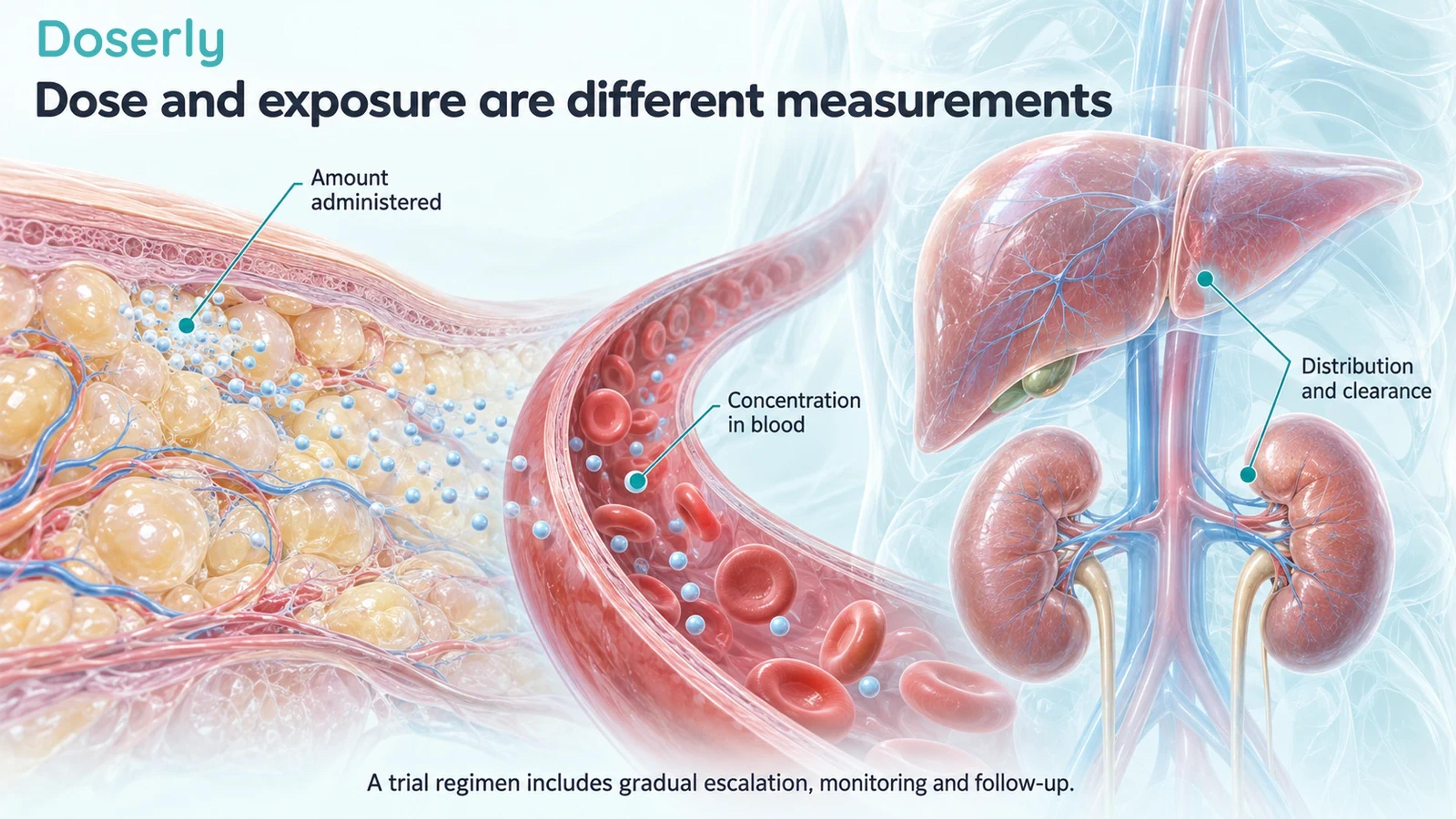 Conceptual subcutaneous tissue, a blood vessel with medicine particles, and liver and kidney anatomy illustrating dose and exposure.