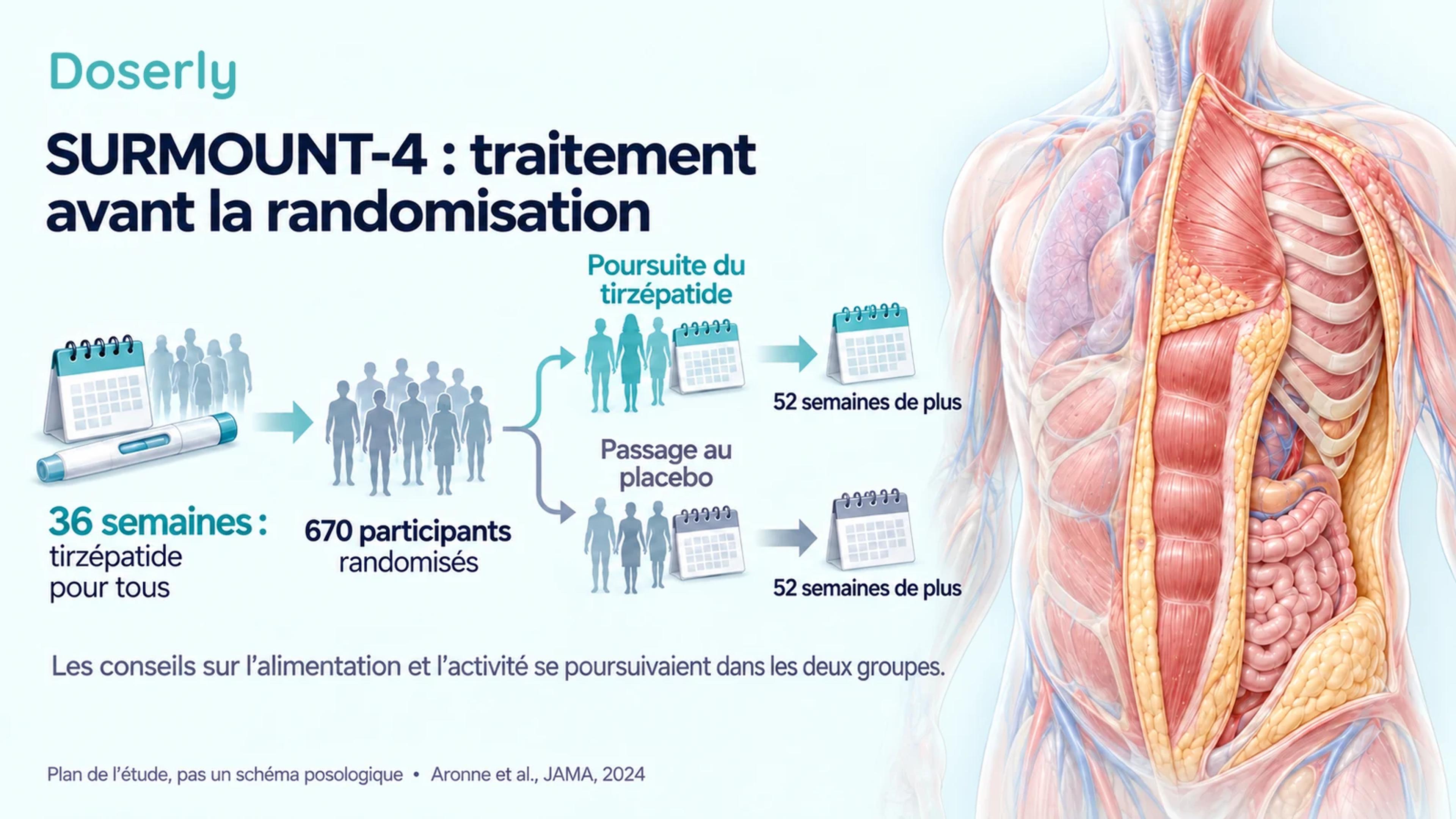 Une chronologie illustrée sous forme de calendrier montre 36 semaines de traitement initial par tirzépatide, la randomisation de 670 participants et 52 semaines supplémentaires de poursuite du traitement ou de placebo, à côté d’une représentation anatomique neutre du torse.