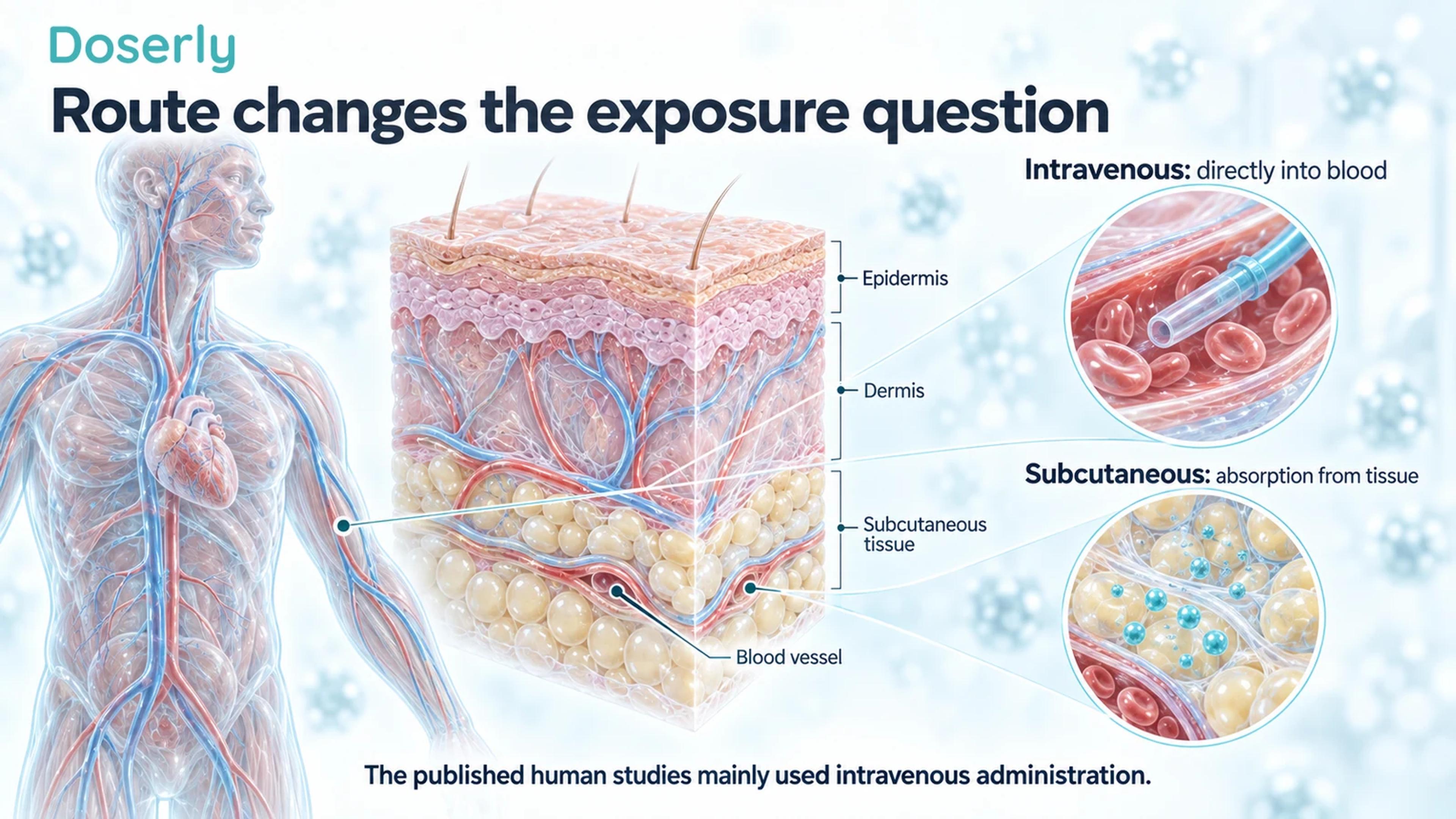Skin layers and blood-vessel insets distinguish direct intravenous exposure from absorption through subcutaneous tissue.