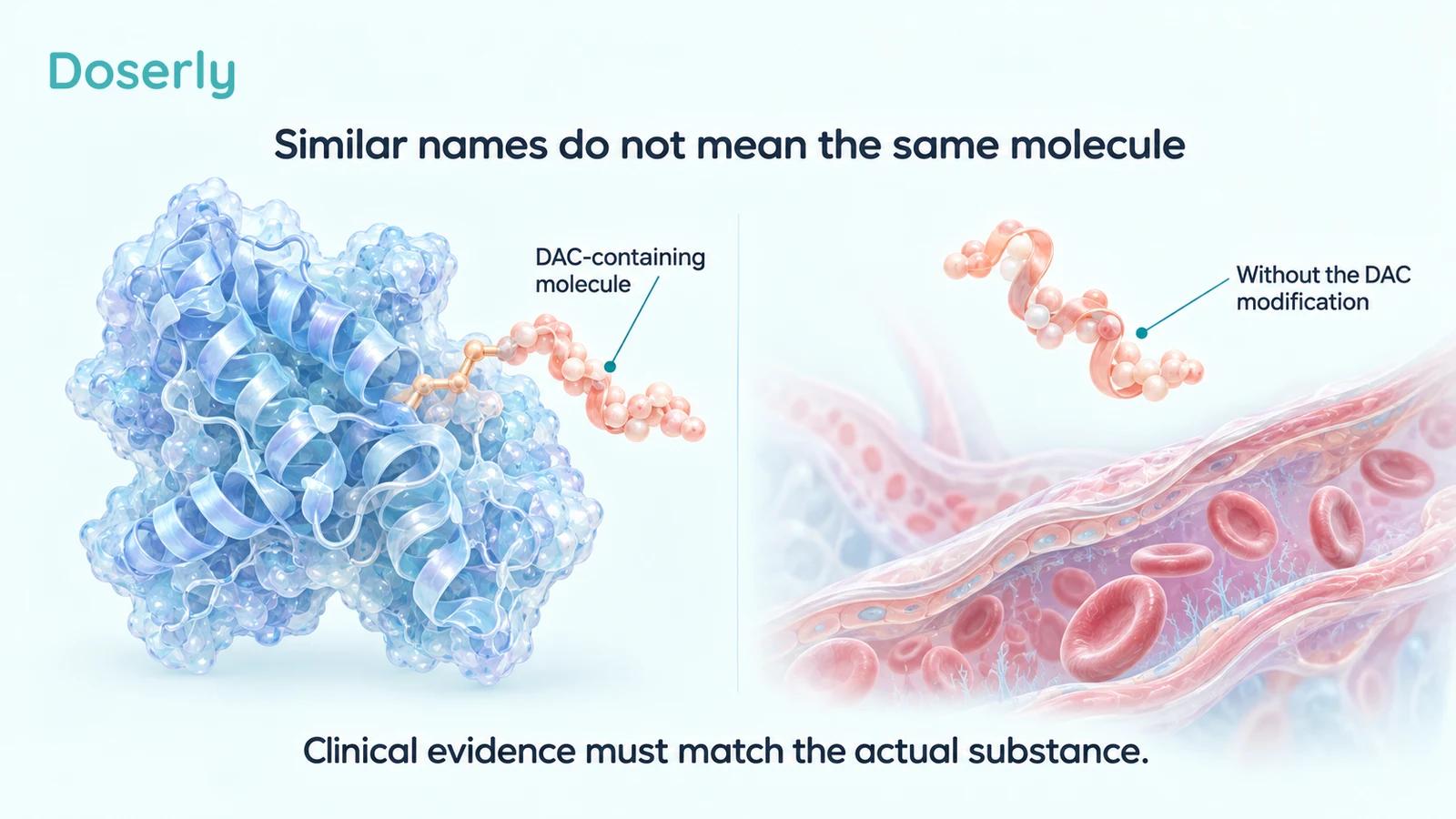 Conceptual comparison of an albumin-associated DAC-containing peptide with a peptide lacking the DAC modification.