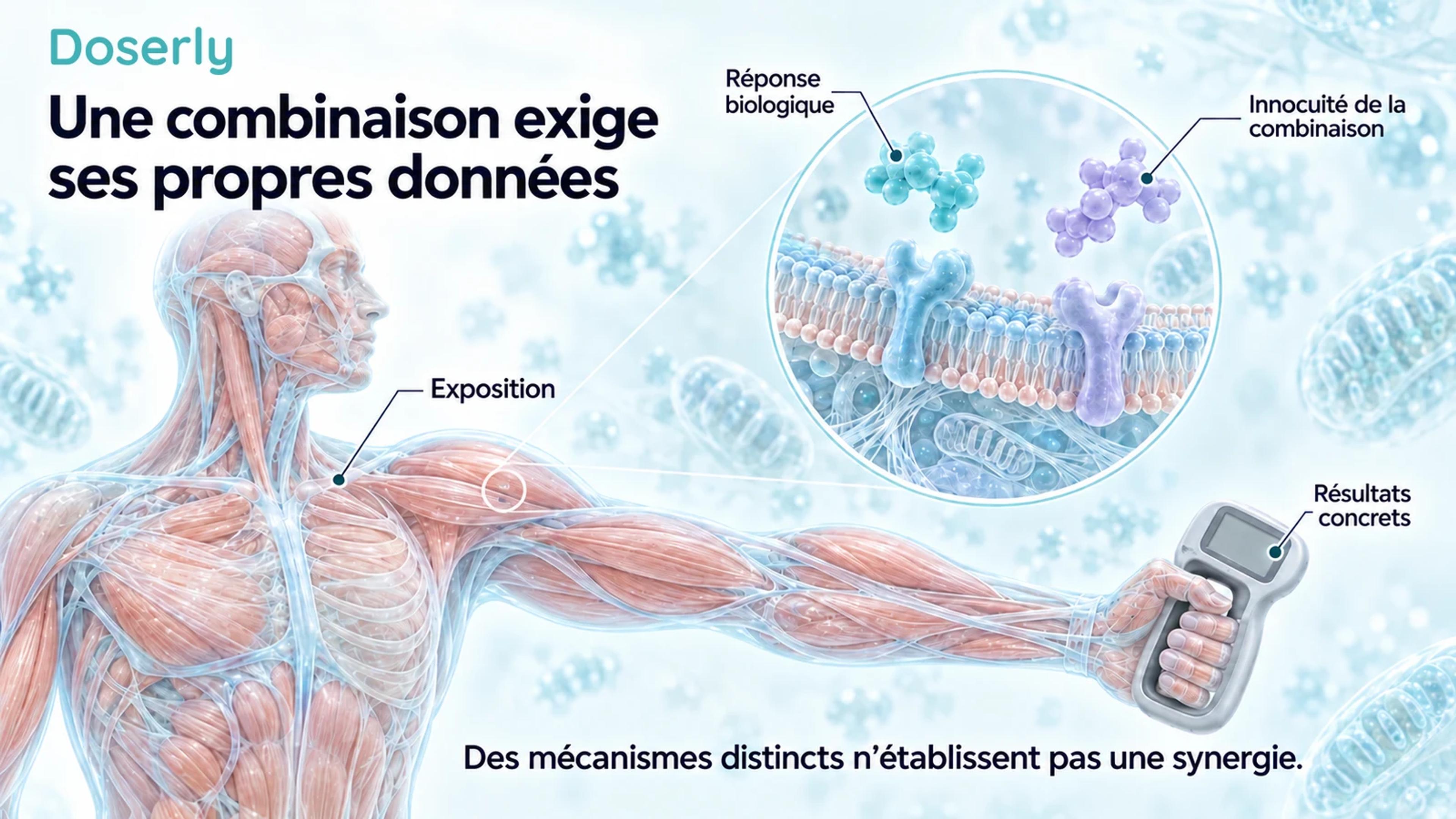 Une anatomie musculaire neutre et une membrane cellulaire agrandie illustrent l’exposition, la réponse biologique et l’innocuité de la combinaison, à côté d’une évaluation distincte de la force.