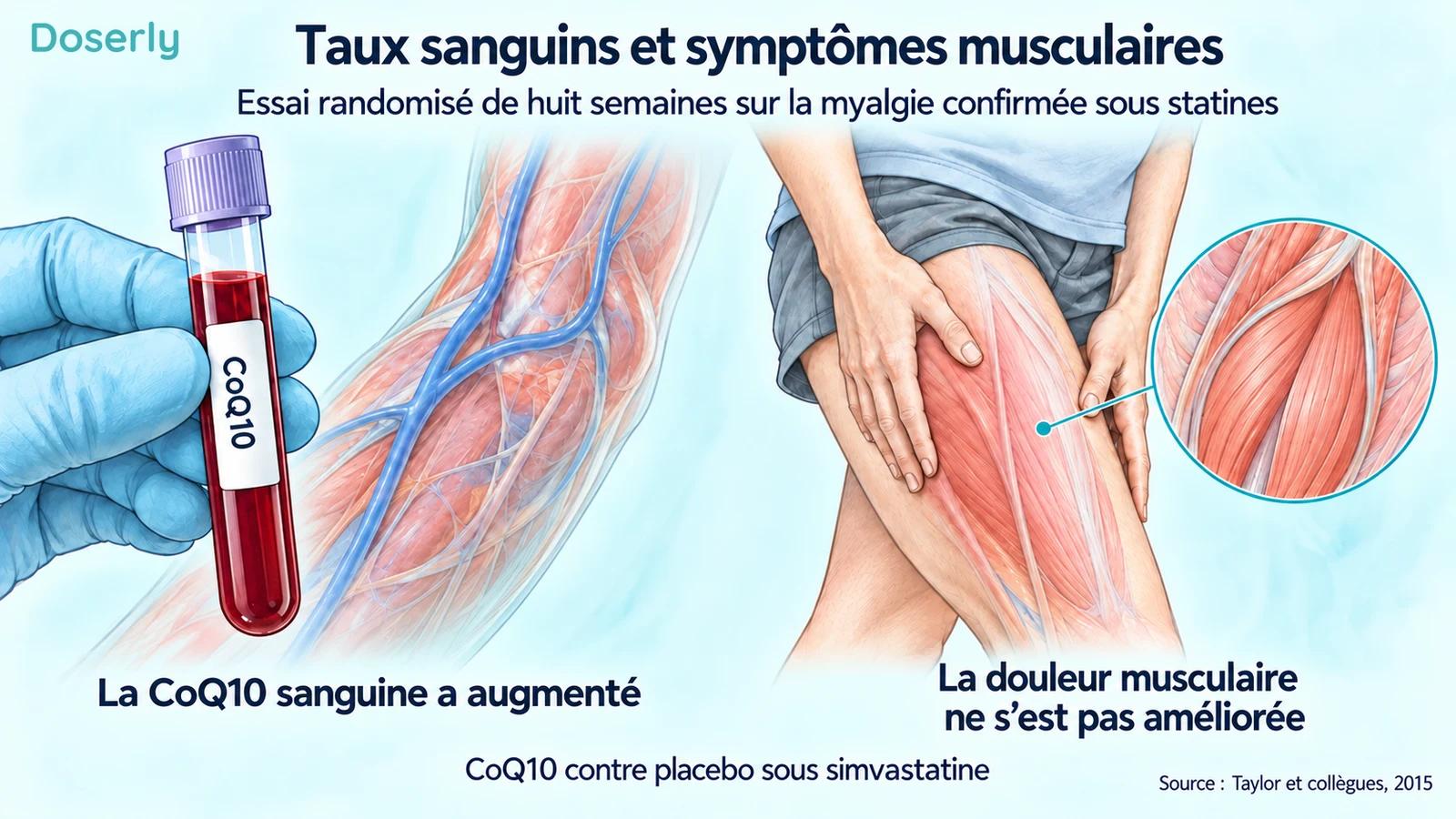 Échantillon de sang prélevé à côté d’une illustration conceptuelle des symptômes musculaires à la cuisse, montrant les résultats différents sur le plan biochimique et sur celui des symptômes.
