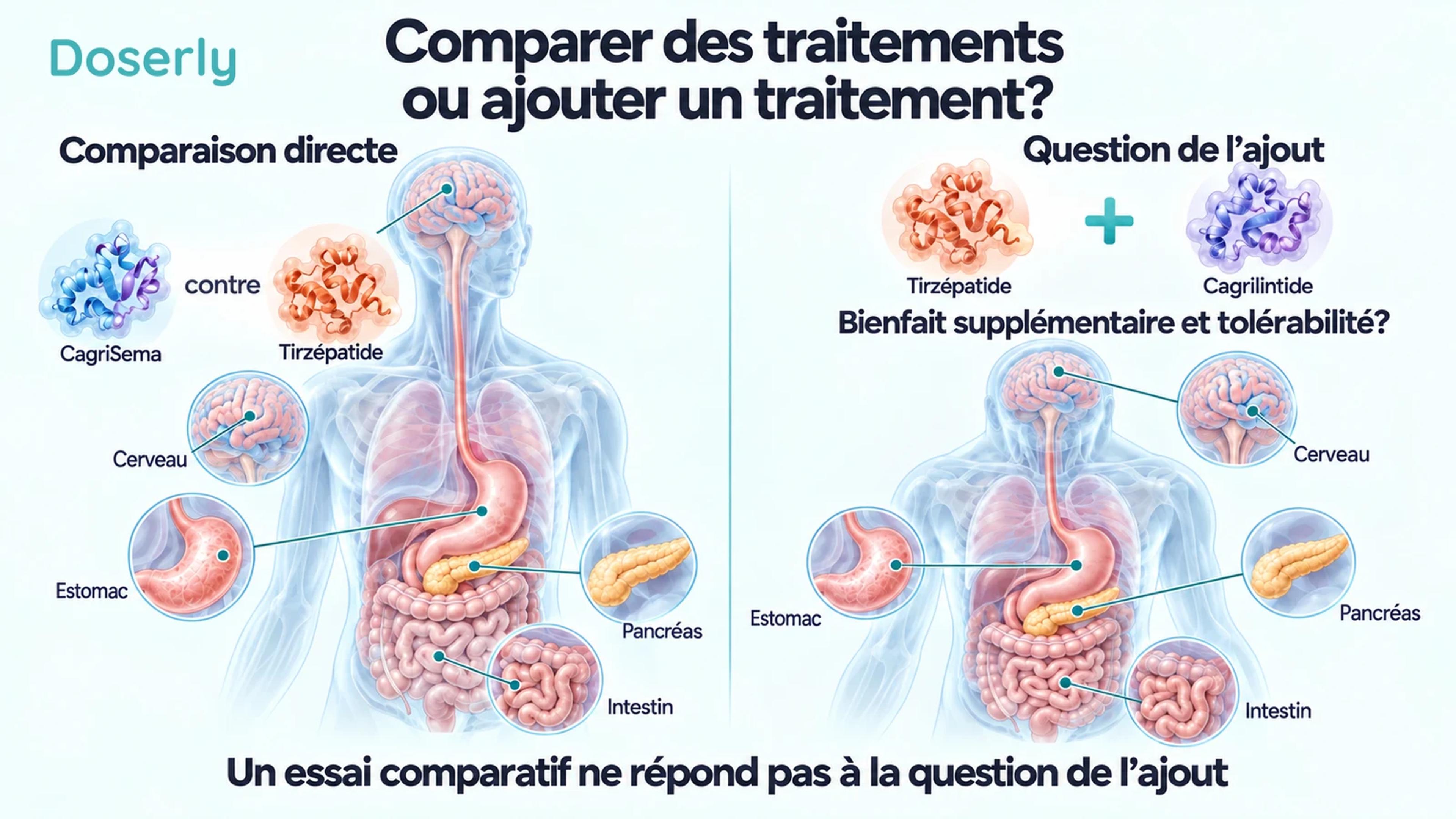 Deux scènes anatomiques distinguent une comparaison directe de la question de l’ajout de cagrilintide