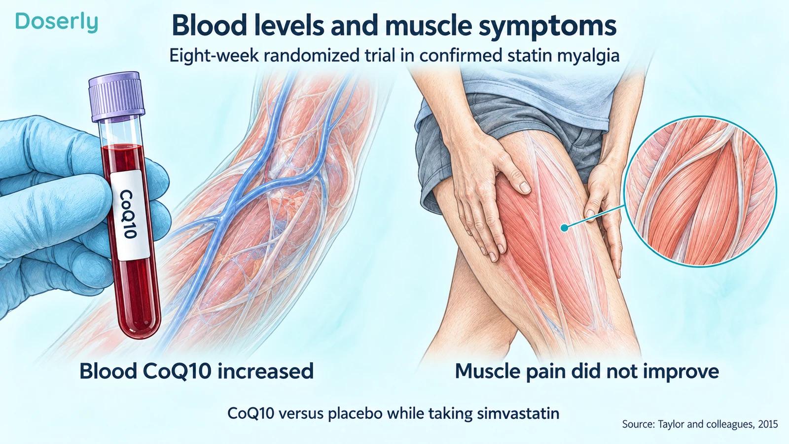 A collected blood sample beside a conceptual thigh-muscle symptom illustration, showing the different biochemical and symptom findings.