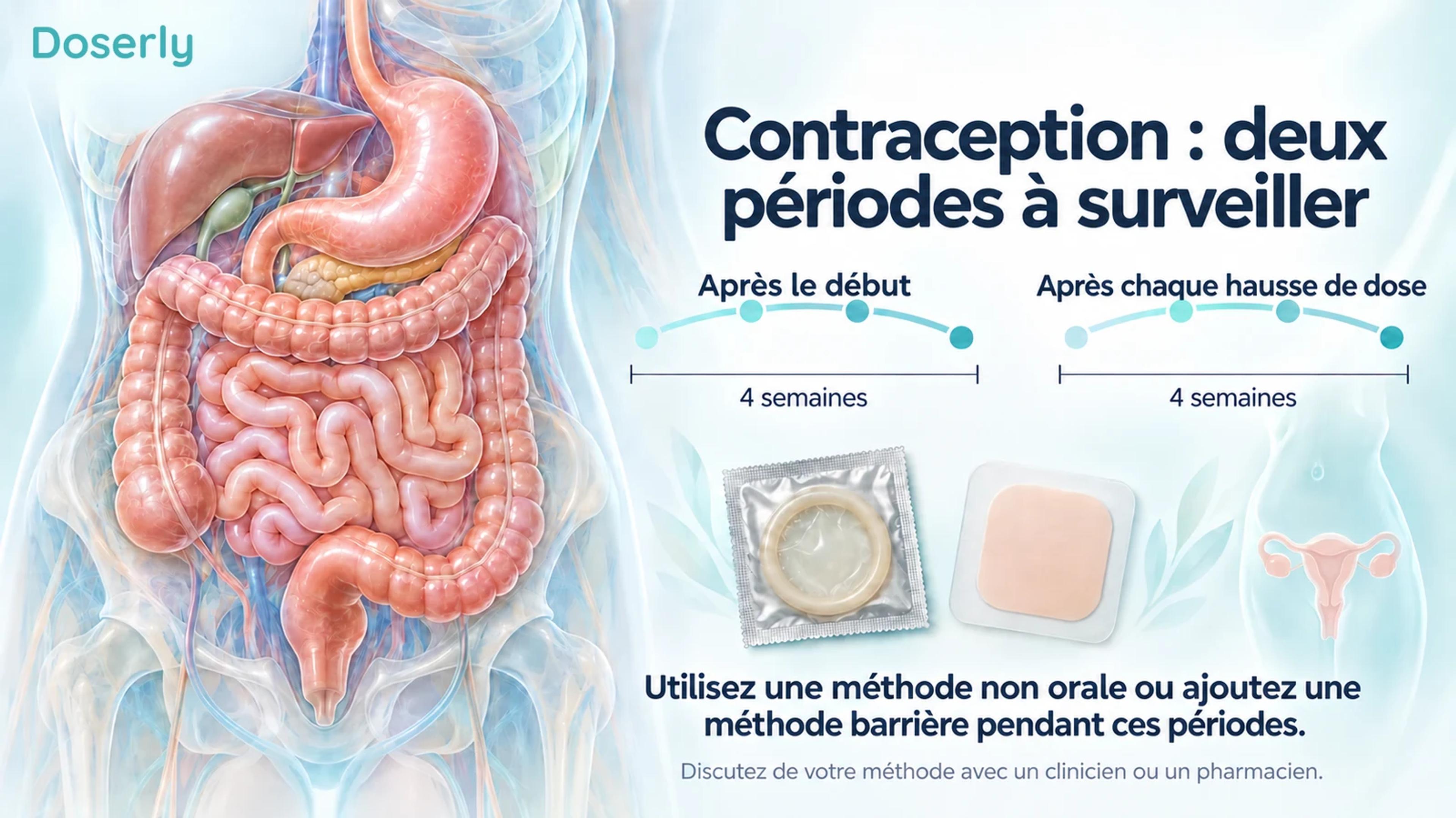 Anatomie digestive à côté de périodes distinctes de quatre semaines après le début du traitement et après chaque augmentation de dose.