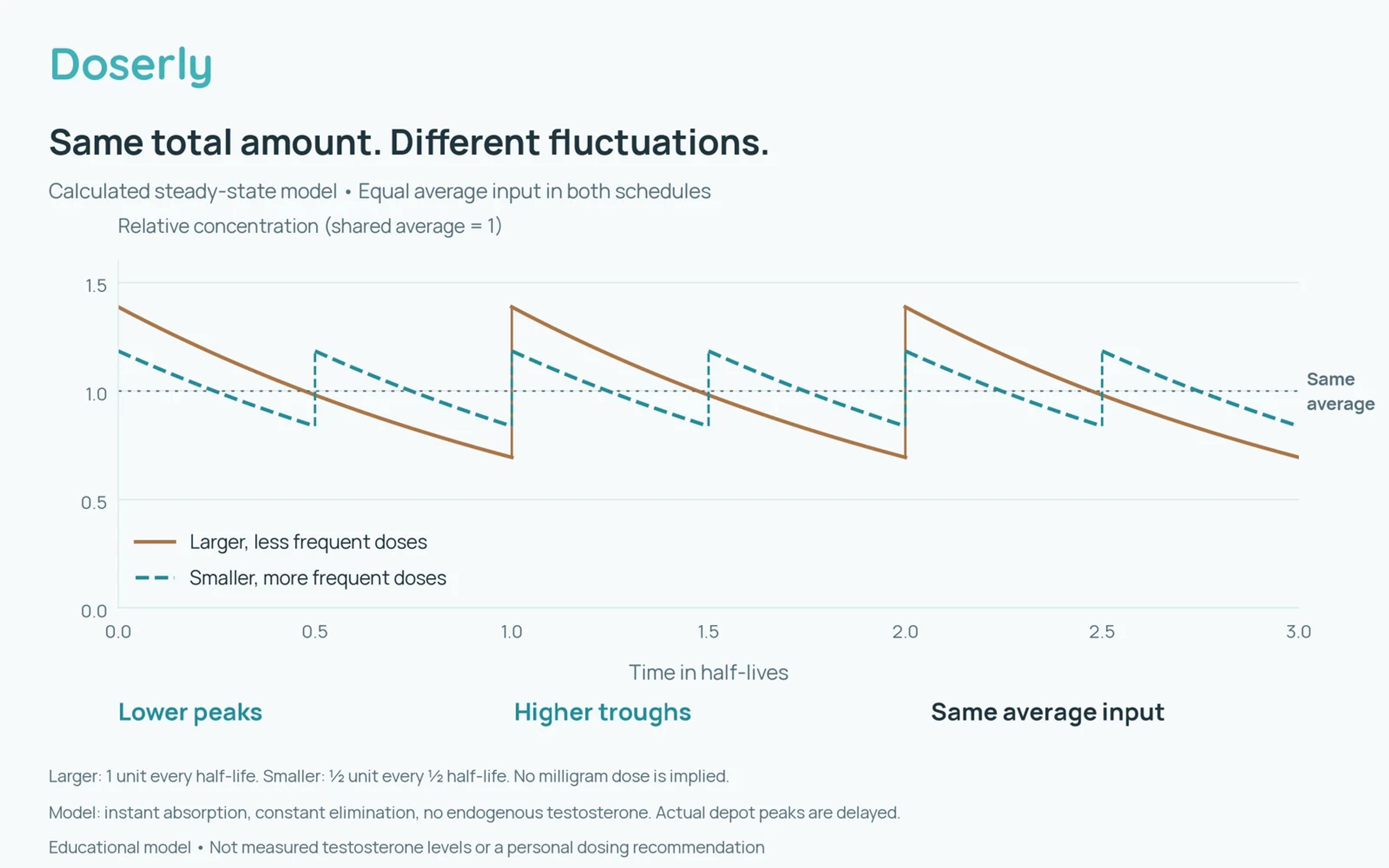 Two calculated steady-state concentration curves with the same average input showing wider fluctuations with a longer interval and narrower fluctuations with a shorter interval.