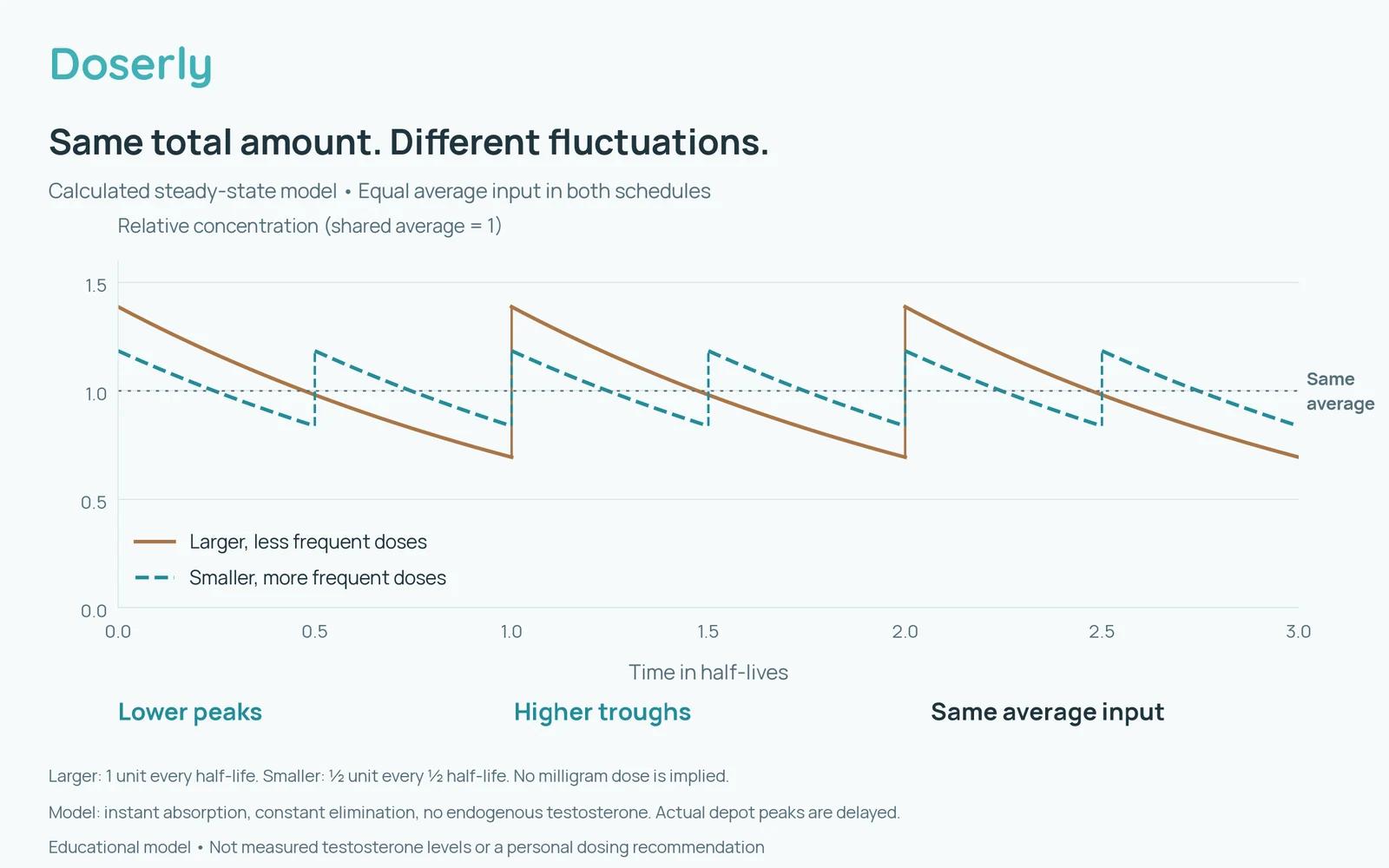 Two calculated steady-state concentration curves with the same average input showing wider fluctuations with a longer interval and narrower fluctuations with a shorter interval.