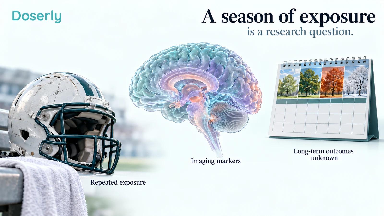 A football helmet, anatomical brain, and separate calendar illustrate seasonal exposure research without claiming protection.