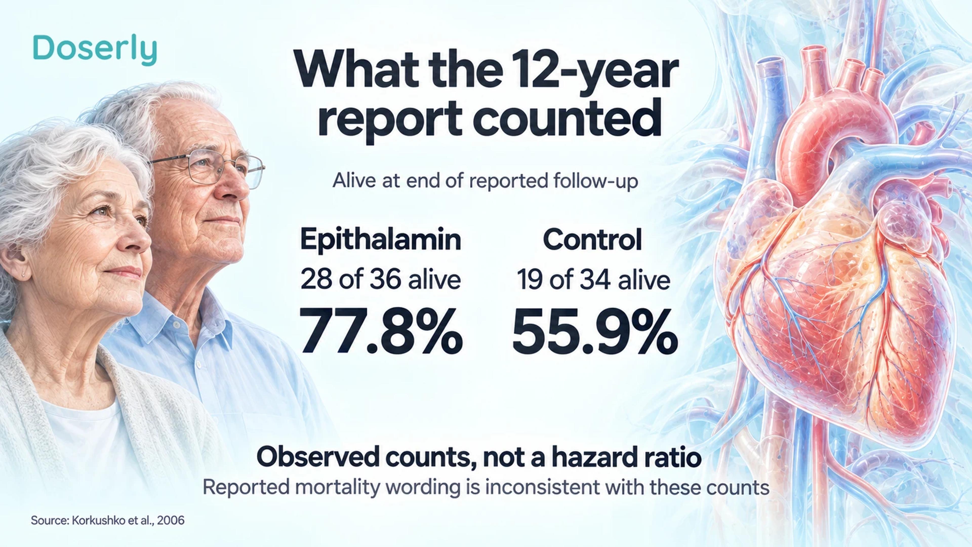 Reported end-of-follow-up counts of 28 of 36 alive with epithalamin and 19 of 34 alive in the control group, beside older adults and heart anatomy.