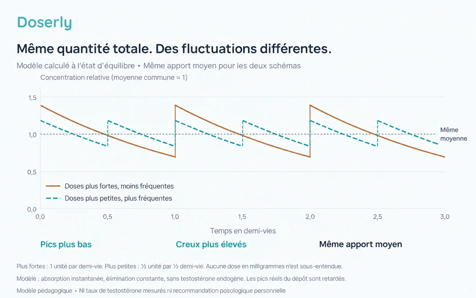 Deux courbes calculées de concentration à l’état d’équilibre, avec le même apport moyen, montrent des fluctuations plus grandes avec un intervalle plus long et plus petites avec un intervalle plus court.