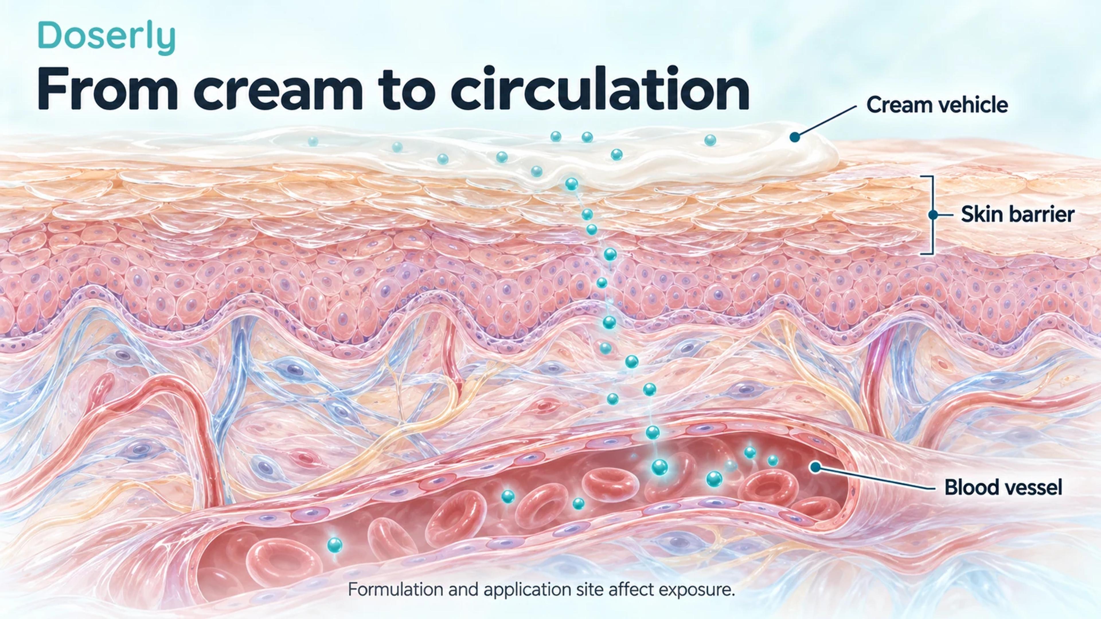 Detailed skin cross-section shows a cream vehicle above the skin barrier and a dermal blood vessel below, illustrating delivery into circulation.
