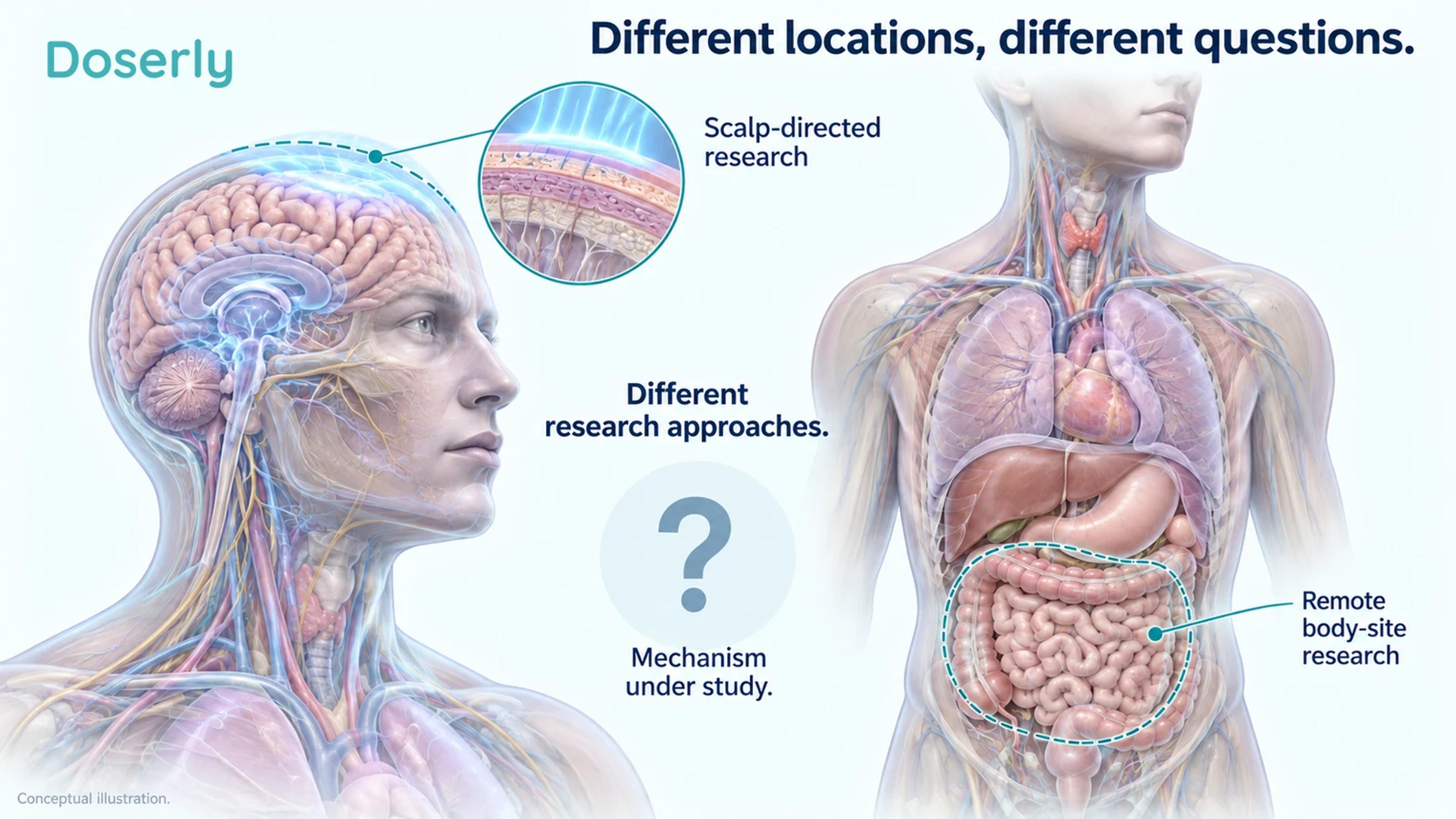 Conceptual illustrations of scalp-directed and remote body-site research approaches, separated by a question mark and without exposure instructions.
