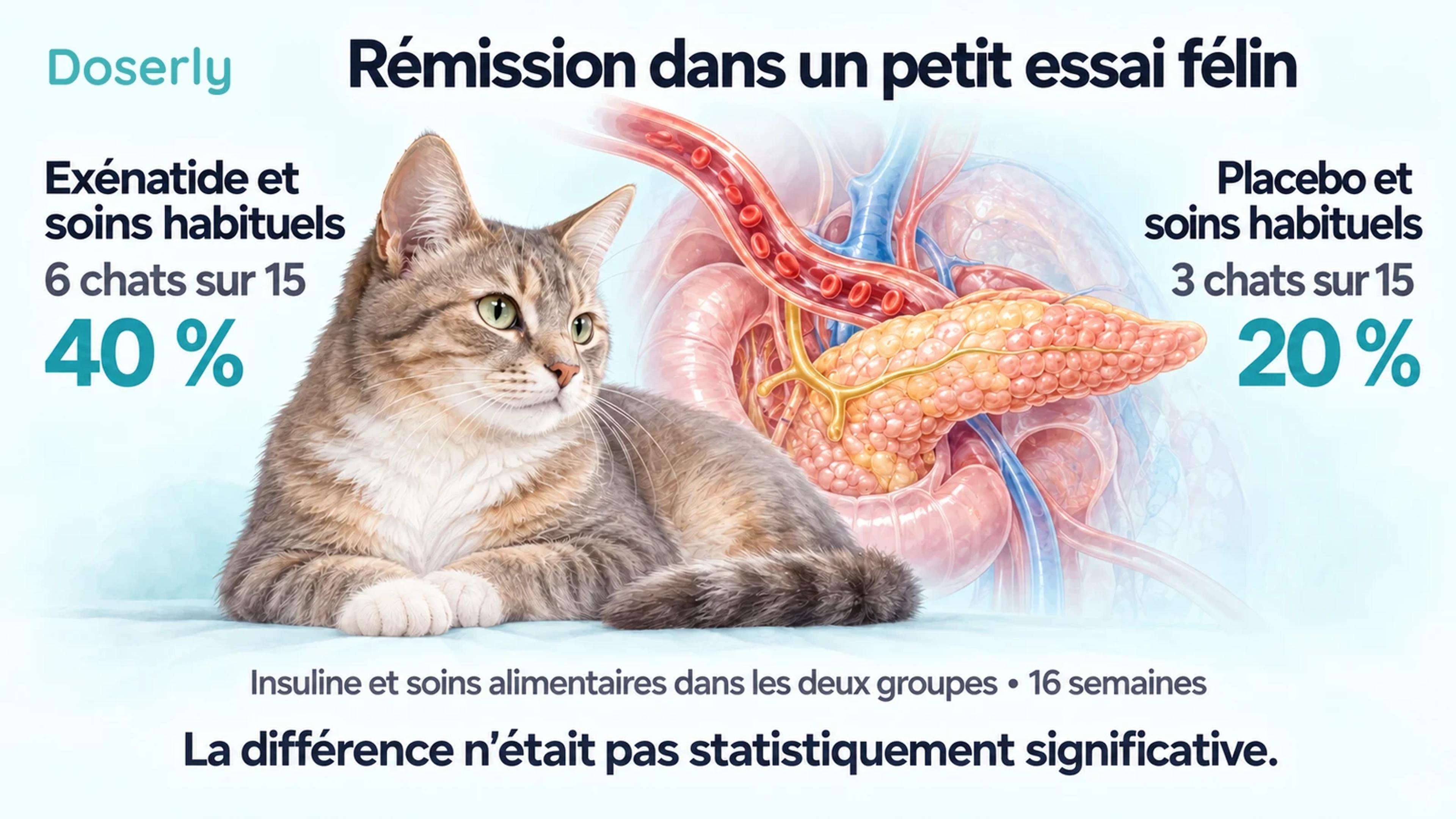 Un chat et une représentation conceptuelle de l’anatomie pancréatique accompagnent les nombres de rémissions observées : six sur quinze avec l’exénatide et trois sur quinze avec le placebo.