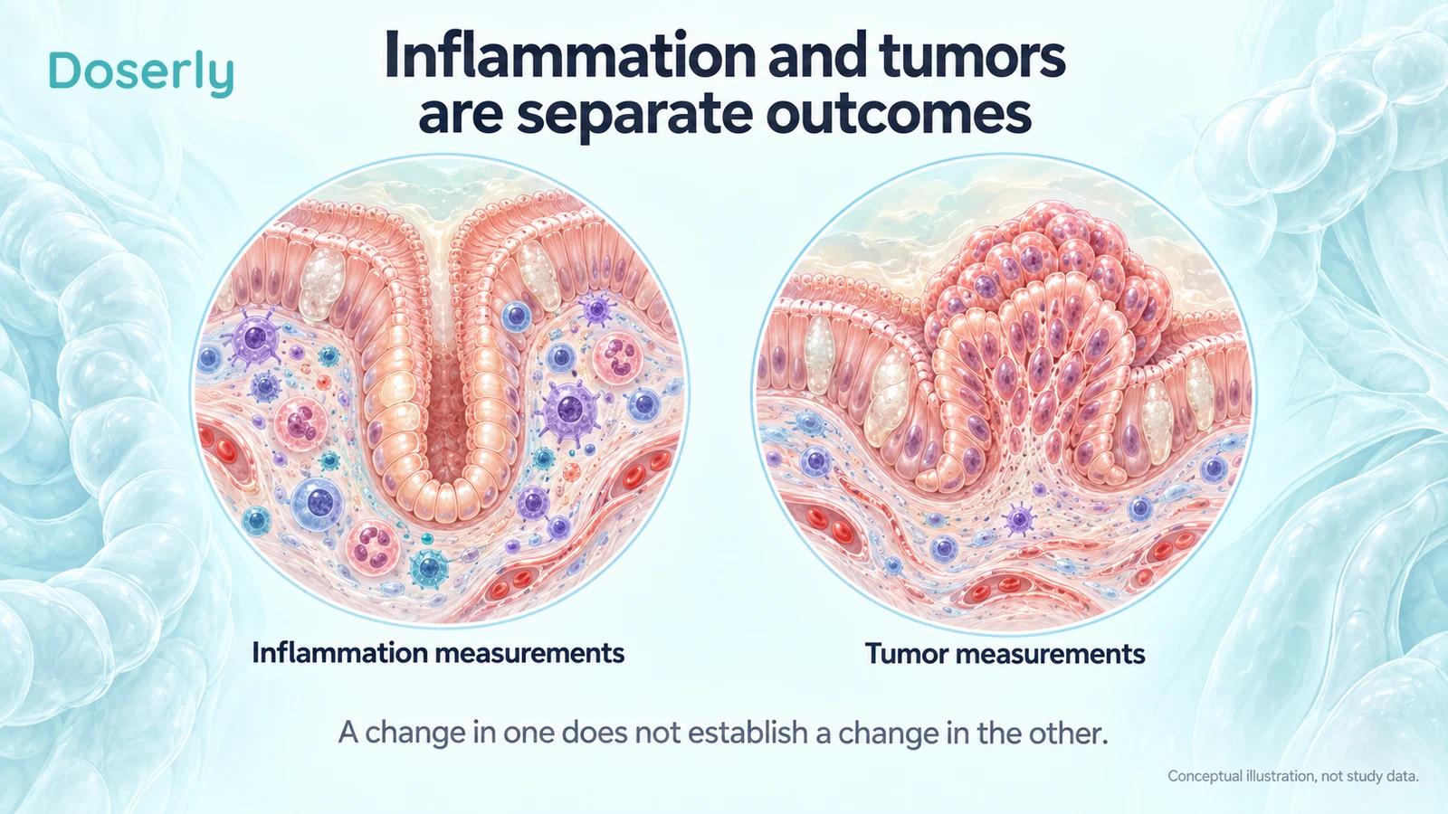 Conceptual intestinal tissue illustrations distinguish inflammation measurements from tumor measurements.