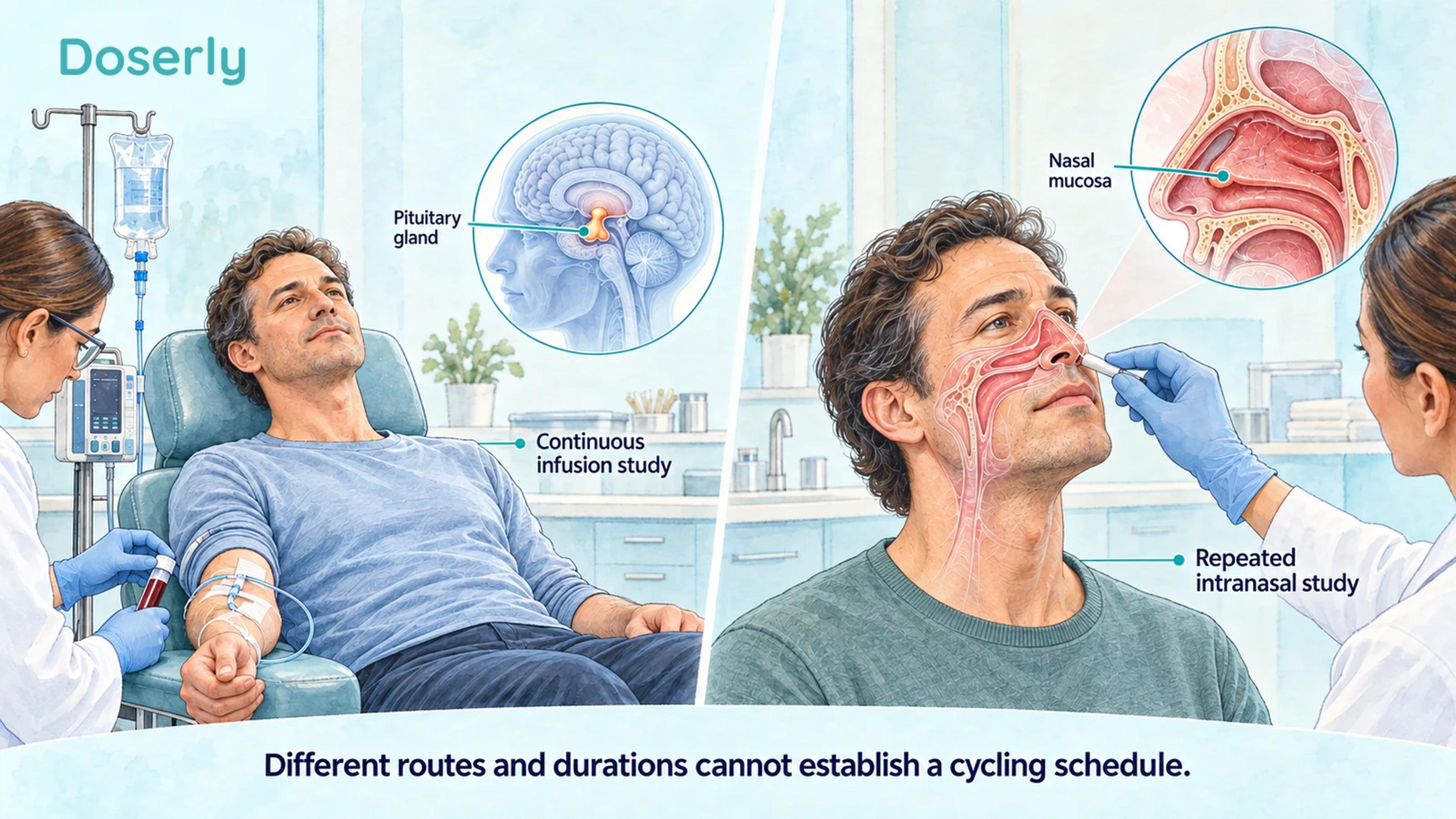 Separate supervised infusion and intranasal research scenes with pituitary and nasal anatomy.